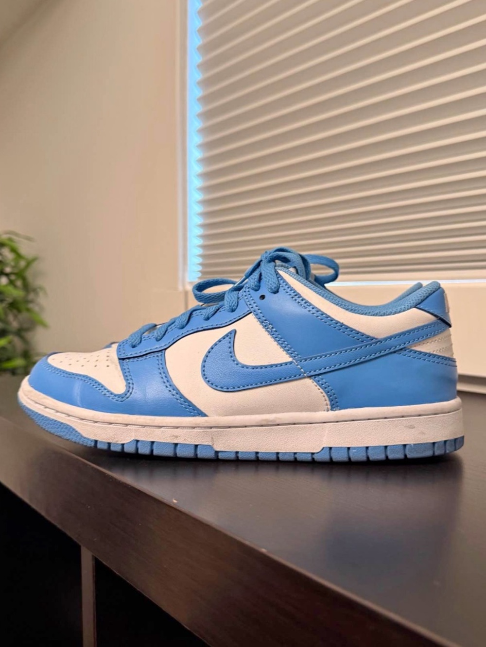 Nike Dunks youth size 7